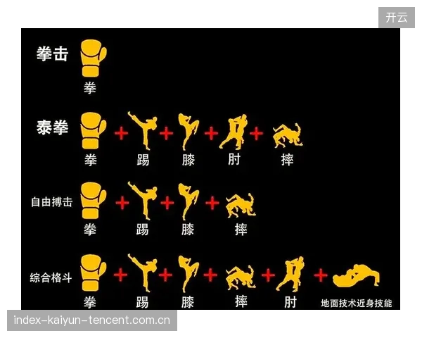 拳击战术智慧与拳速并重成制胜法宝